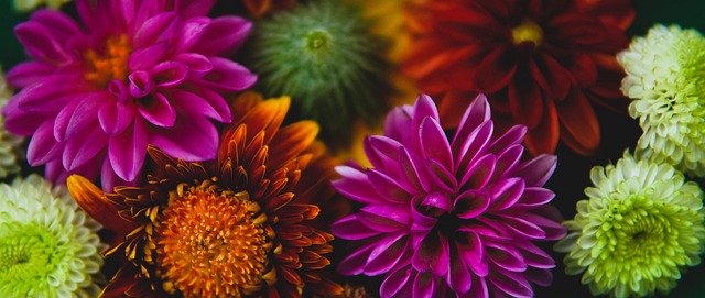 花缘展现出