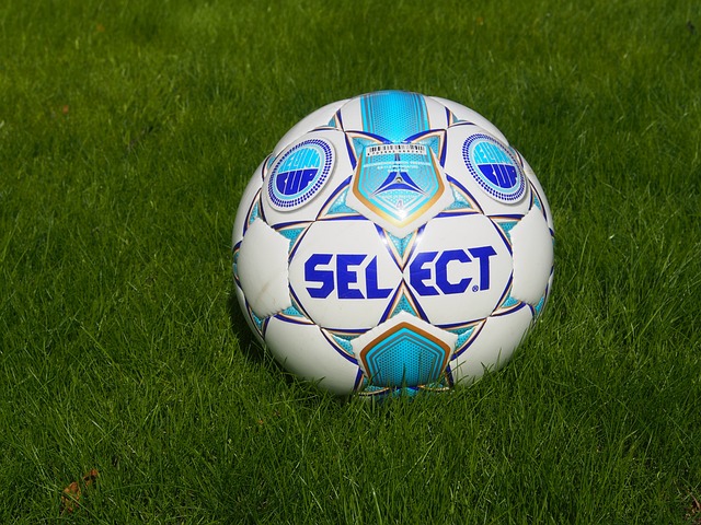 雪文化传播 雪文化传播