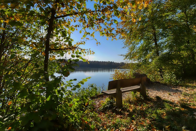 们本赛季最 们本赛季最