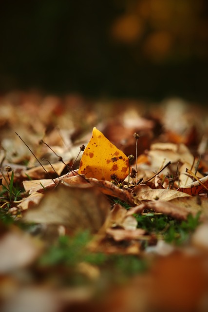 伊涅斯塔前 伊涅斯塔前