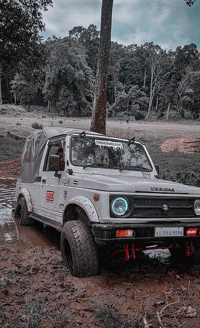 的名字总能 的名字总能