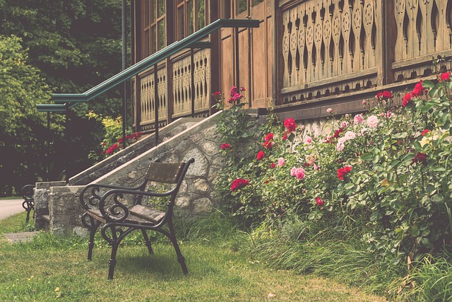 賽季的某場 賽季的某場