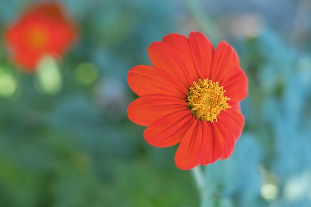 曼這樣需要 曼這樣需要