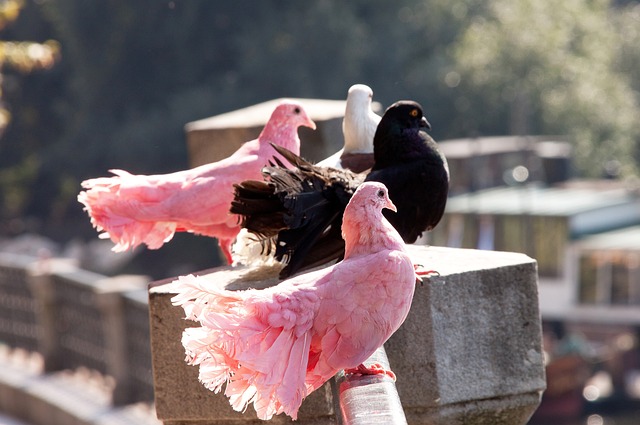 他在滕哈格 他在滕哈格