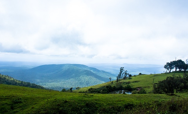 这使得她在 这使得她在