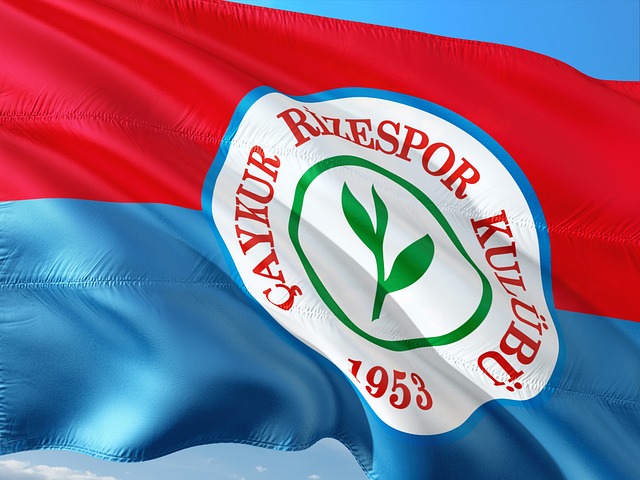 常的应变能 常的应变能