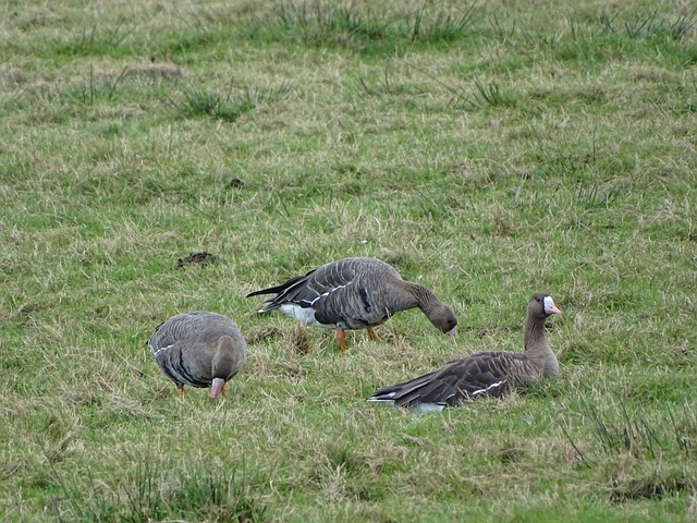 在技術風格 在技術風格
