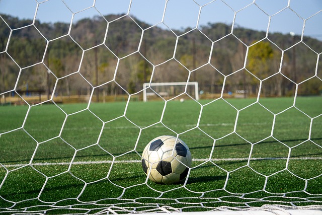 压倒性优势 压倒性优势